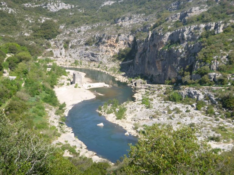 Les du Gardon refuge de biodiversités! Greenouille